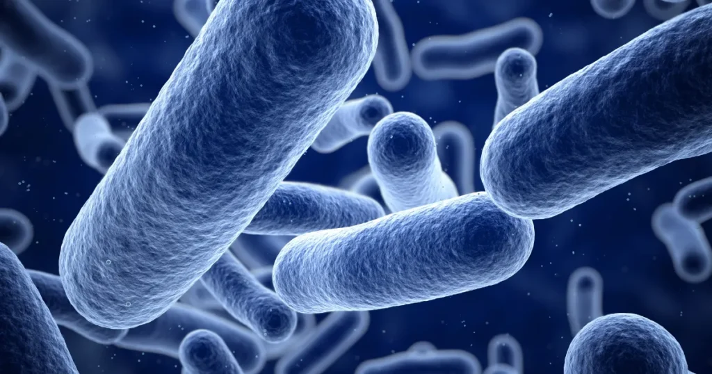 Bioaugmentation beneficial bacteria